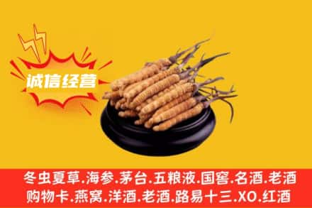 汕头龙湖区回收冬虫夏草